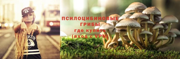 герыч Няндома